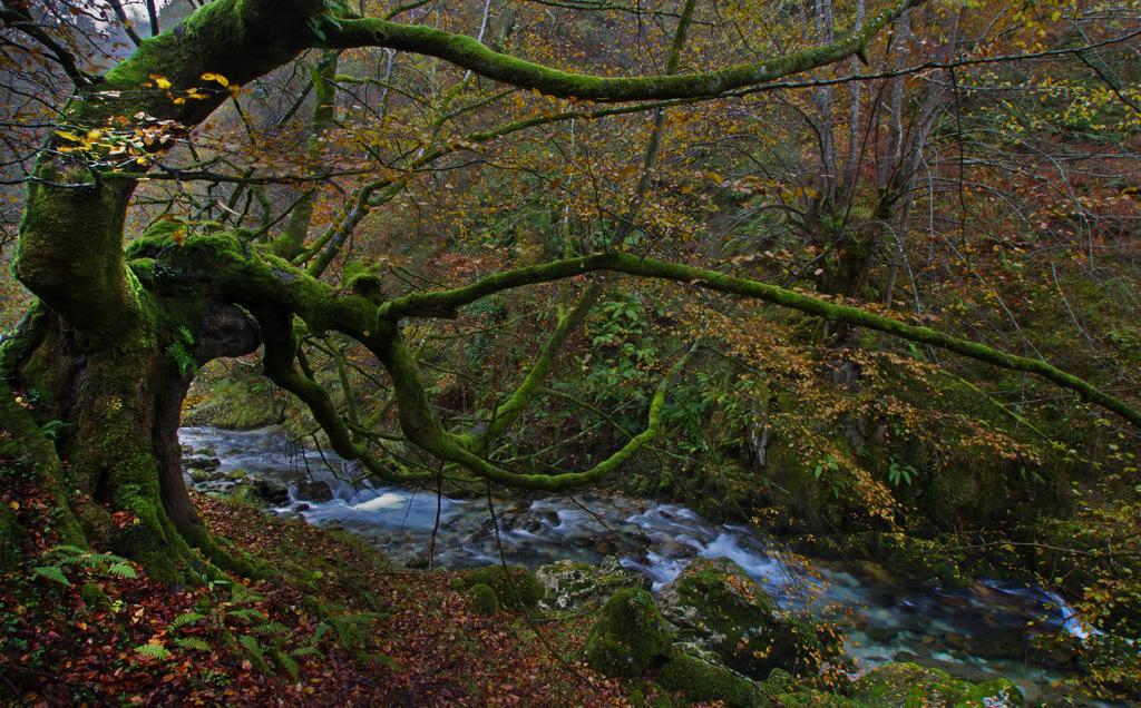 Casa Rural La Regoria Carrena de Cabrales Εξωτερικό φωτογραφία