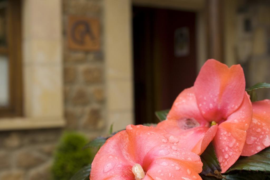 Casa Rural La Regoria Carrena de Cabrales Εξωτερικό φωτογραφία